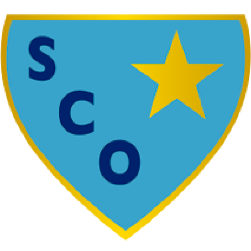 LOGO-STAR